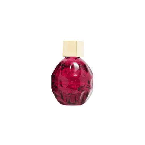 Lítið dömu ilmvatn – Jimmy Choo Fever