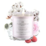 Kerti – Cotton Flower
